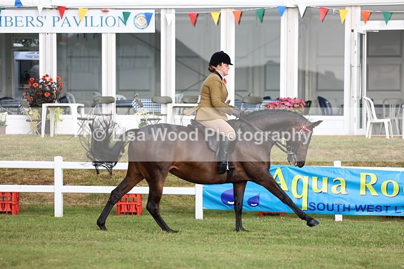 3E7A7842 - Class 1: Rising Star Small Hack/Riding Horses