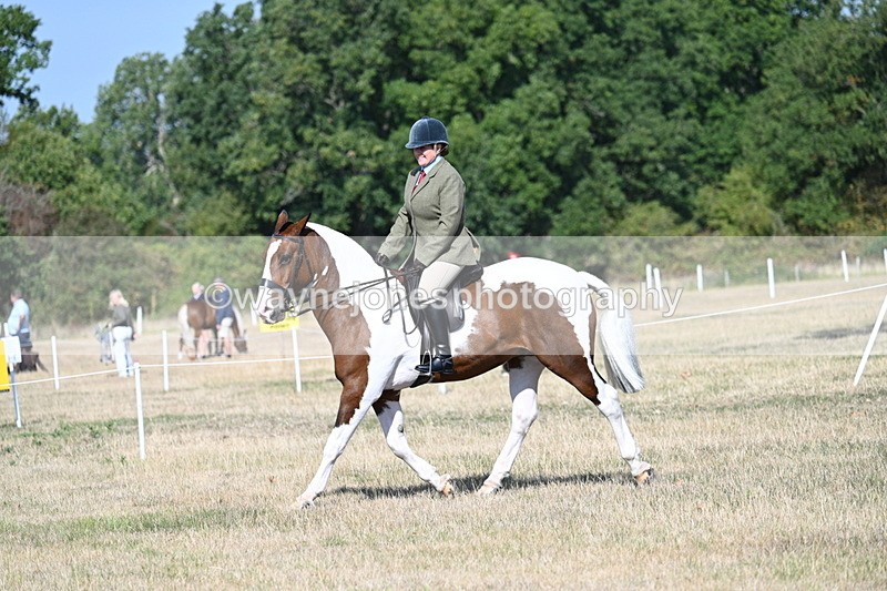 WJ7_2850 - Class 8 Ridden Tack & Turnout