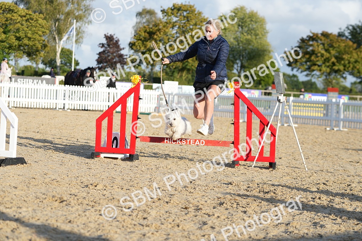 SBM_29421 - J44 - Horse & Hound Open 70cm