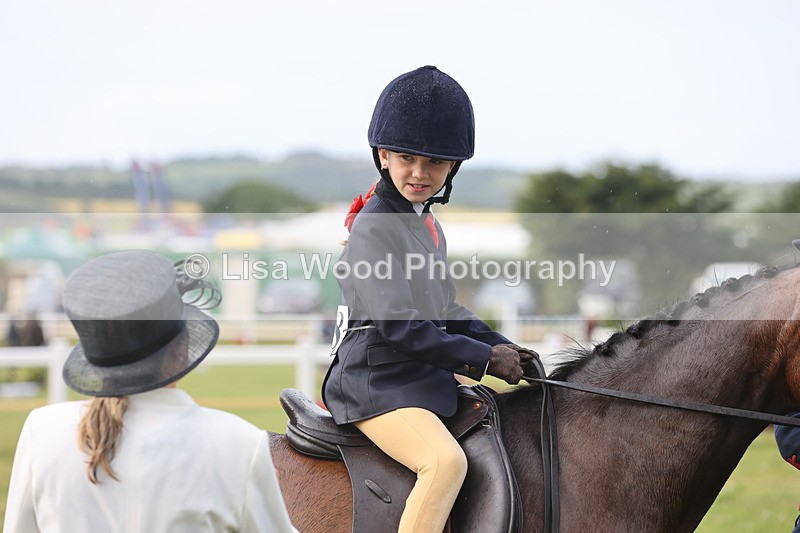 JPP_0398 - Class 14: Cornish Combination Leading Rein