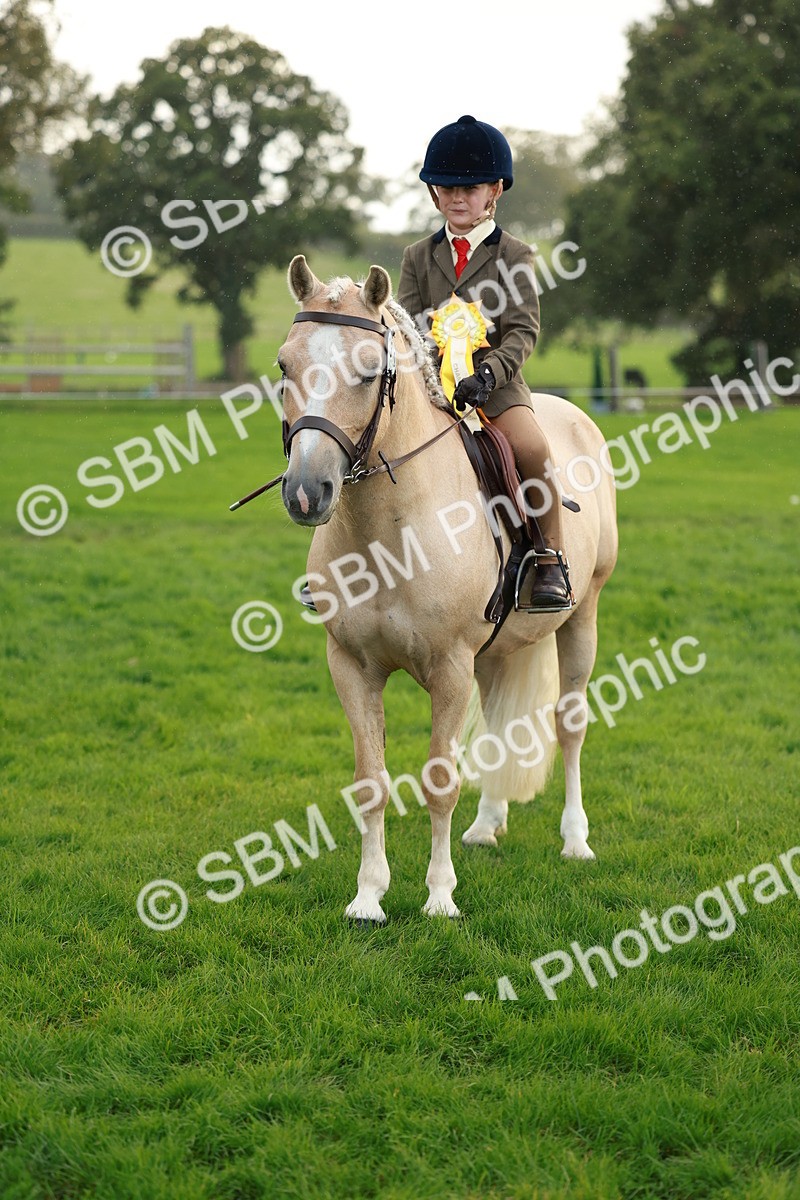 SBM_28900 - S7 - Novice & Newcomer Ridden Pony