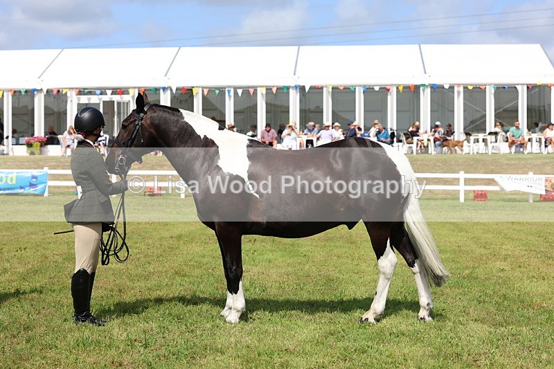 3E7A9999 - Class 5: Rising Star Lightweight/Heavyweight Cobs