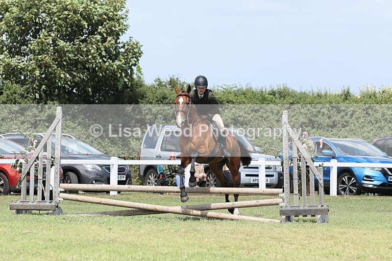 JPP_2060 - Class 19: Working Hunter 60cm