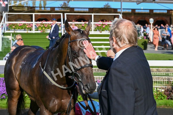 230923-Race 5-Vintage Clarets-3469 - Race 5 4.20pm Vickers.Bet Handicap