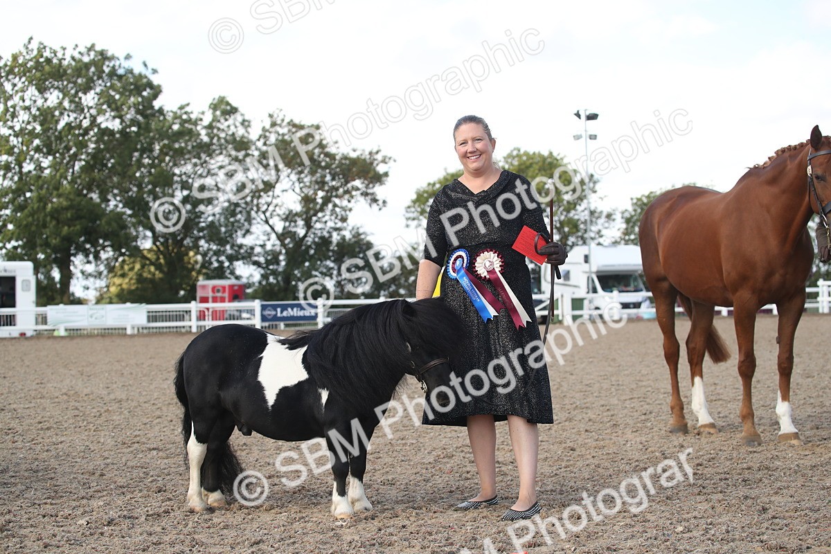 SBM_23161 - Class 606 - 2026 - Area - IH Pre Vet