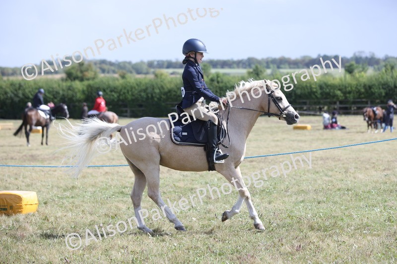 20250831-2834 - Class 18 - Childs First Pony