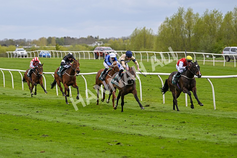 240424-Race 2-Restless Prince-7724 - Race 2