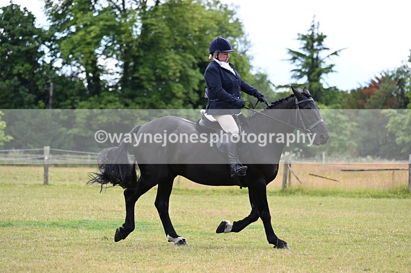 WJ7_9570 - Class 8 Ridden Veterans