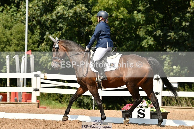 250817-134030-10032 - 033-Frankie.TorodeFirst.Impression.VI