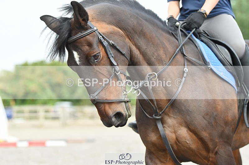 230817-111116-01878 - Kay's 2nd Group - Arena