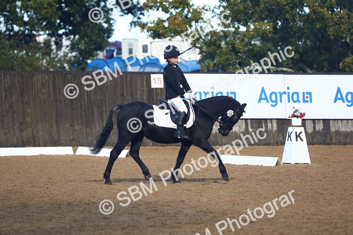 SBM_38905 - D21 - Junior Championship Intro 1