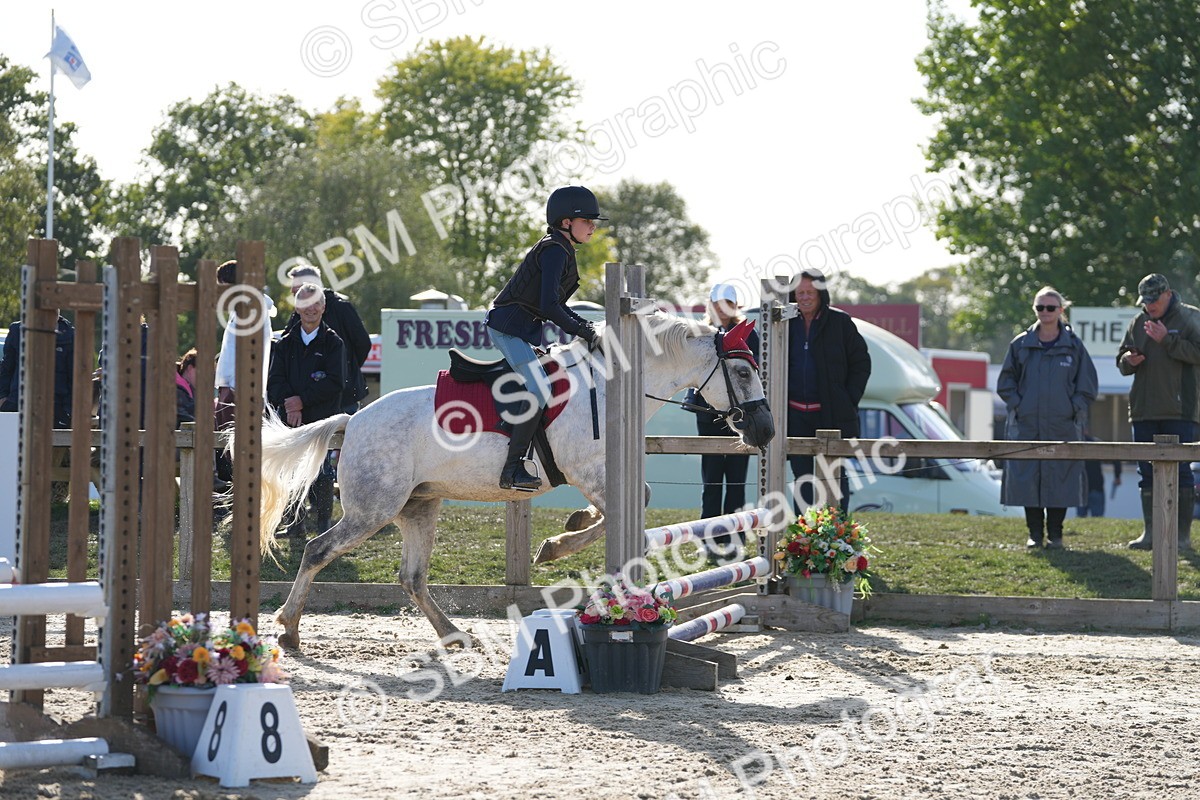 SBM_50912 - J8 - Junior Pony 65cm Championship