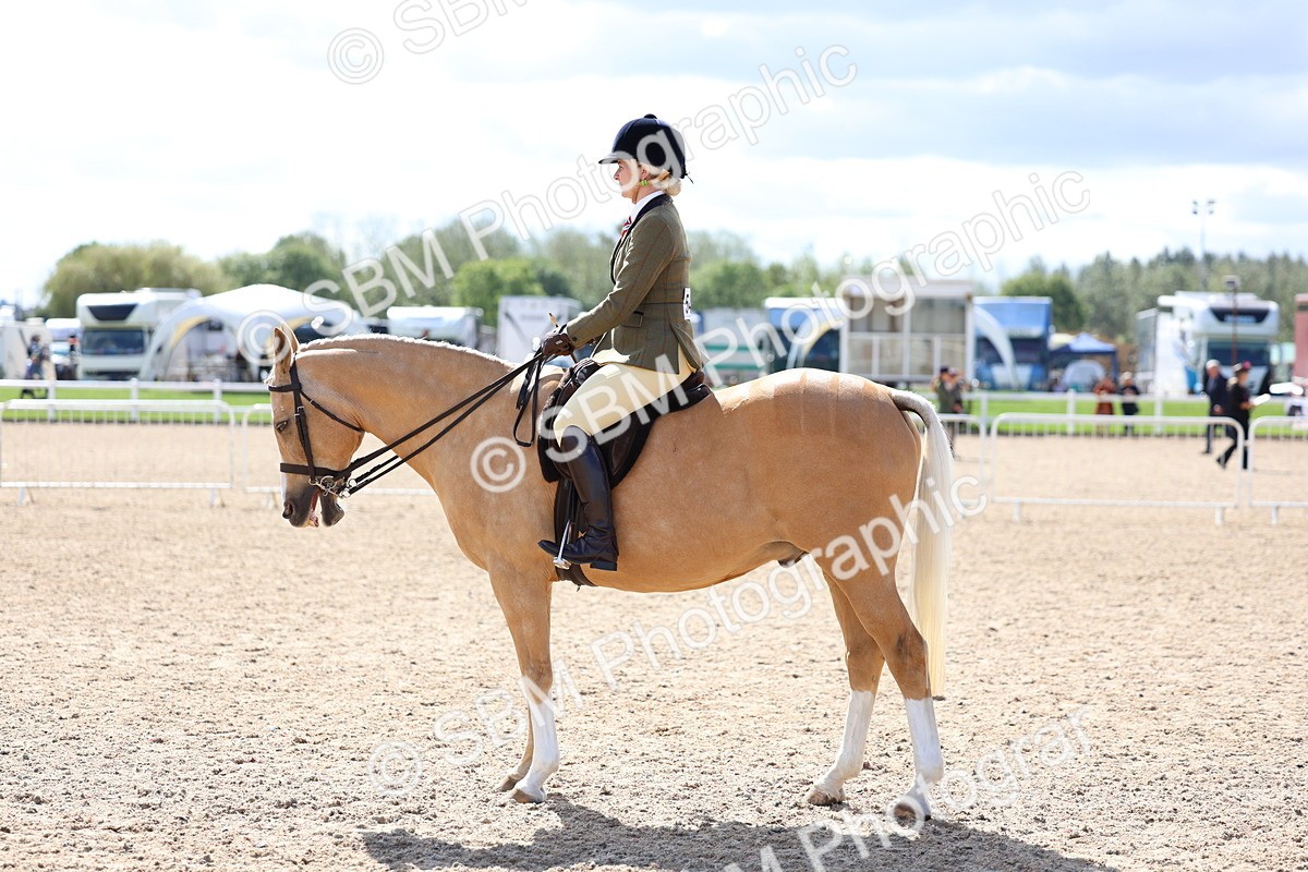 SBM_13320 - Class 311 - Ridden Show Pony Show Hunter Pony