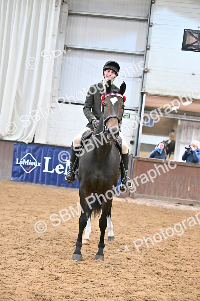SBM_001486 - Class 19,20 - Ridden Native, Foreign Breeds & Warmbloods