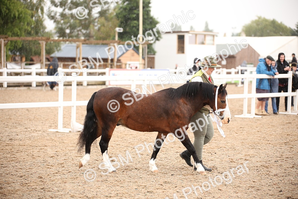 SBM_20239 - Class 704 - IH Rescue