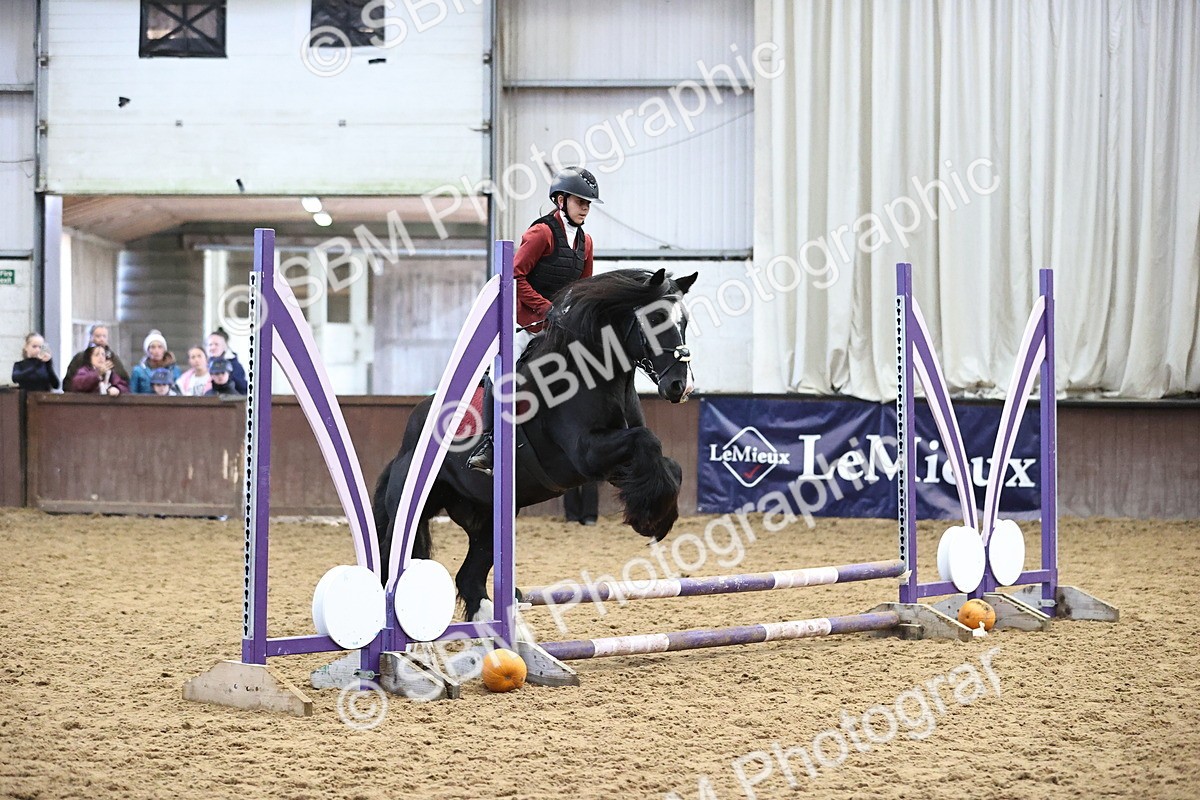 SBM_000250 - Class 2 - Show Jumping 50cm