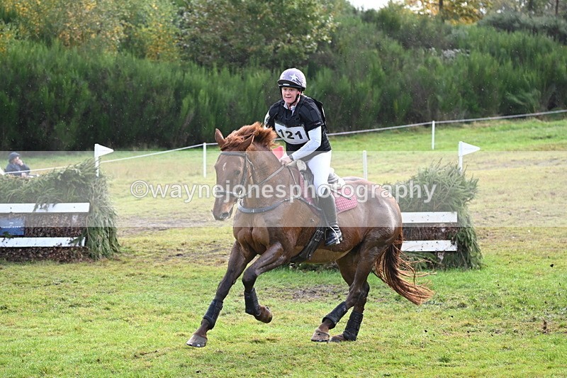 WJ6_2051 - 80cm Cam 1 Time 10:47 to 11:22