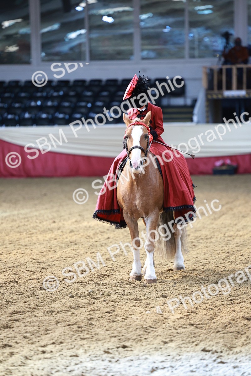 SBM_13462 - Class 104 - Ridden Costume - Astride Junior