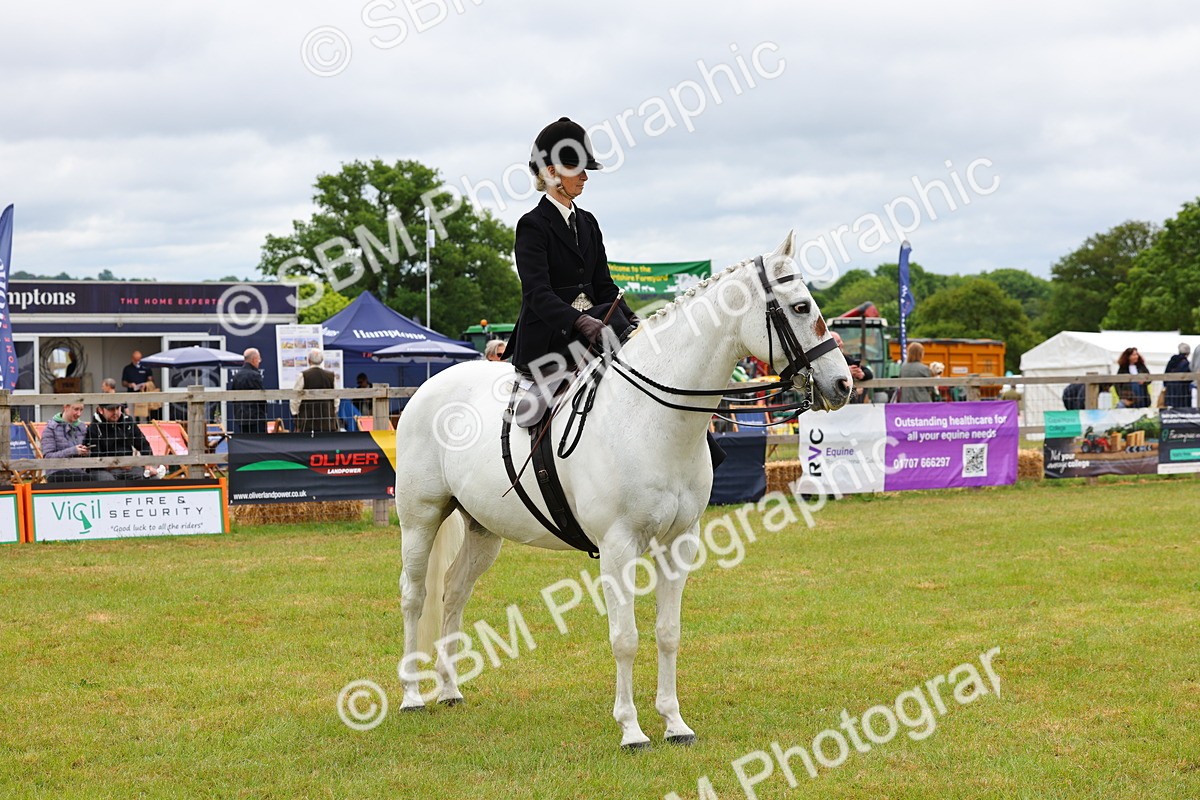 SBM_02763 - Class 9-11 Side Saddle including LIHS Rising Star Ladies Show Horse