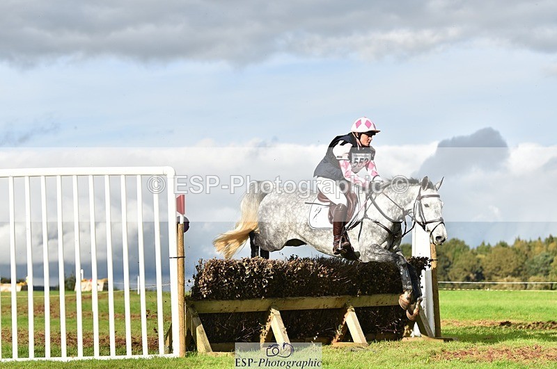 231021-152550-19095 - 553-HARLEQUIN.RABBIT-Althea.Bleekman-SC+XC