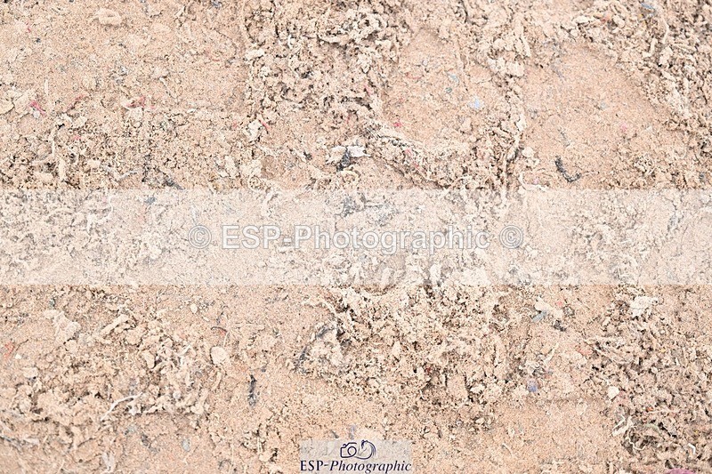 251029-100736-00174 - Discovery and 1m