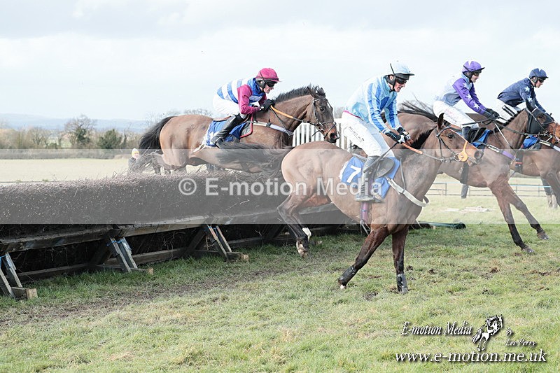PtP 220225 1031 - Kimblewick Point-to-Point  Kingston Blount 22/02/25