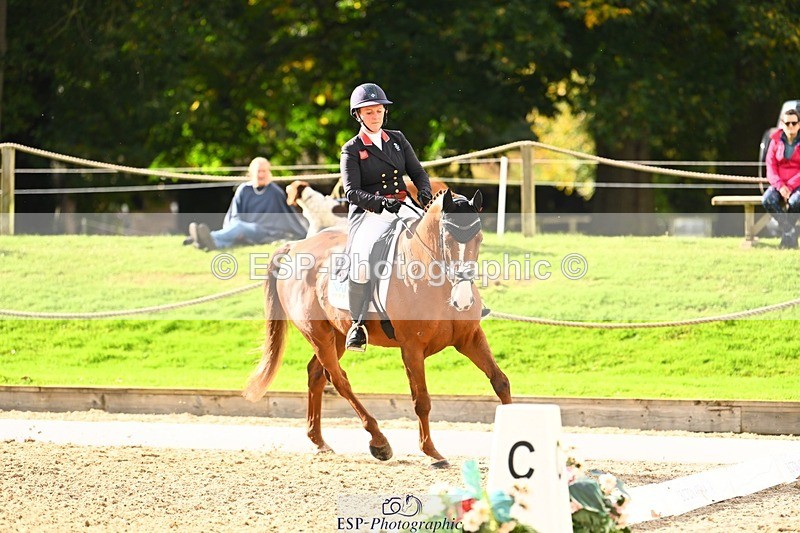 231020-140934-09852 - 305-CHILLI.KNIGHT-Gemma.Stevens-DR