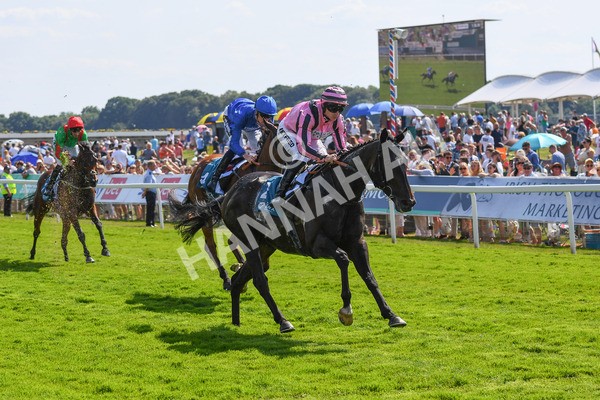 160623-Race 4-Chichester-0487 - Race 4 3.35pm Seat Unique Ganton Stakes