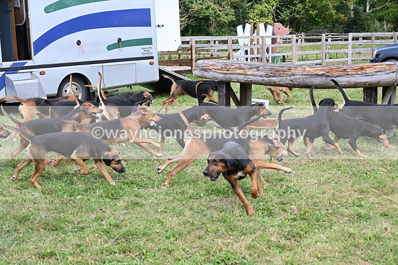 WJ6_3121 - Berks & Bucks - The Old farmhouse - Hound Exercise 20-08-25