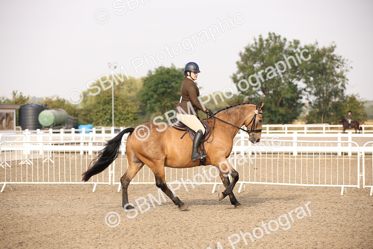 SBM_10249 - Class 402 Riding Club Horse