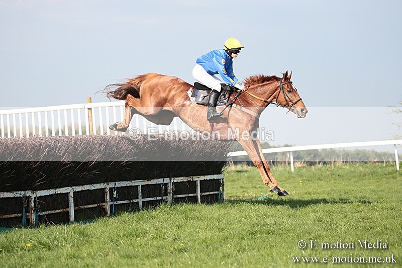 PtP 210418 502 - South & West Wilts Point-to-Point Larkhill 21/04/18