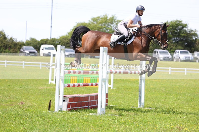 3E7A1351 - Class 12: Senior Foxhunter/1.20 open