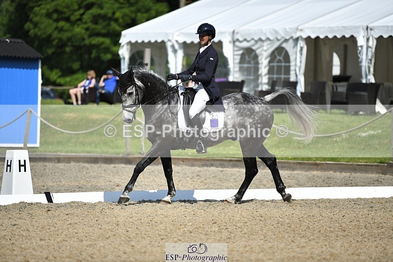 230525-102057-01686 - 311-BALLYCOSKERRY_REGAL_DIAMOND-Hollie_Swain-WEDTrotUp+DR