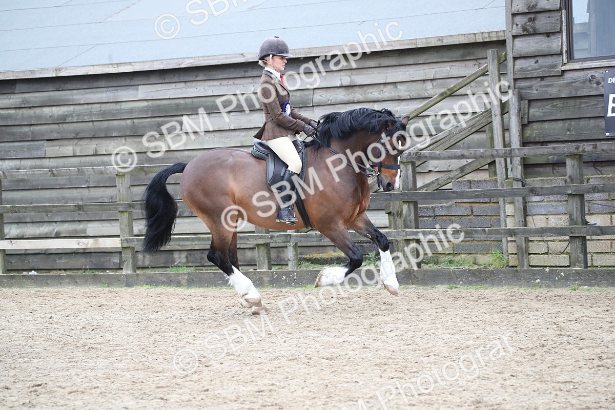 SBM_007077 - Class 10-13 - RIHS Small Large Breeds