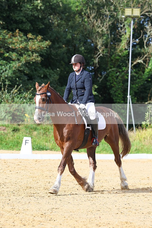 3E7A2276 - Class 1: Intro 4 2024 section A