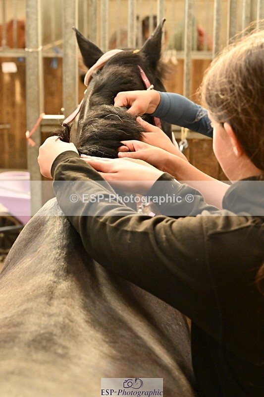 250821B-162524-00510 - Stable Shots and Group Photo