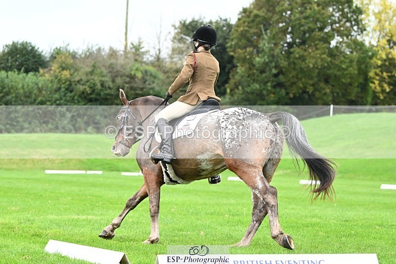 241024-105311-03083 - 501-Captain.Holly.Day-MUSTANG