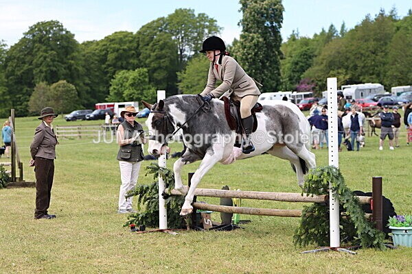 IMG_3243 - Working Hunter