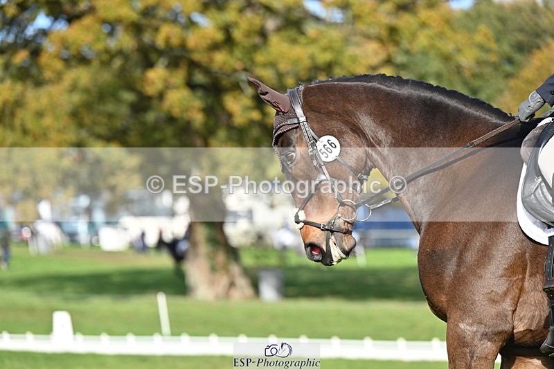 251024A-114807-09775 - G-566-Charlotte.Smith