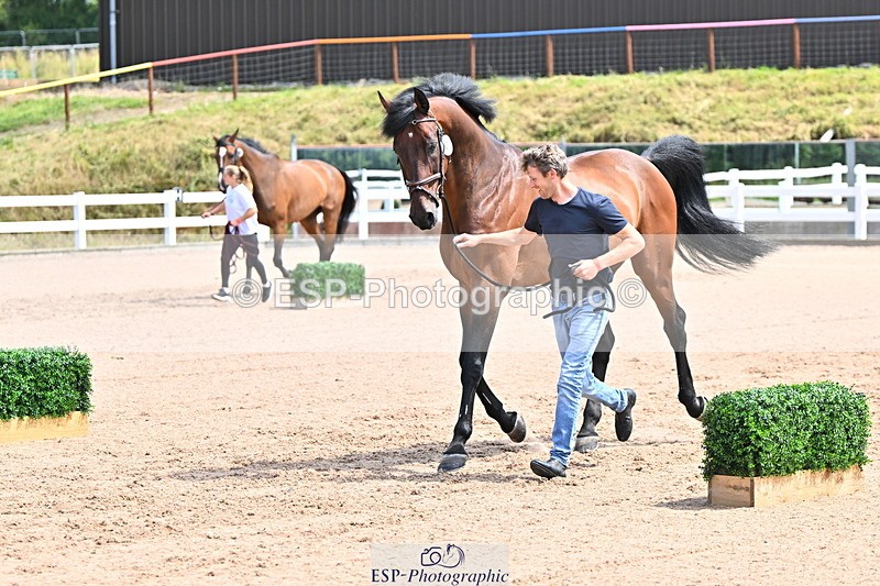 240718A-105247-01160 - Trot Up 12pm to 1pm