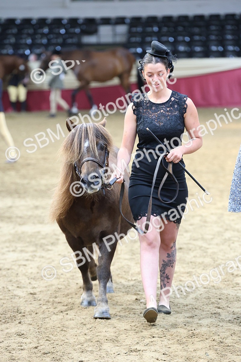 SBM_22539 - Class 902 - Supreme Final - IH Diamond