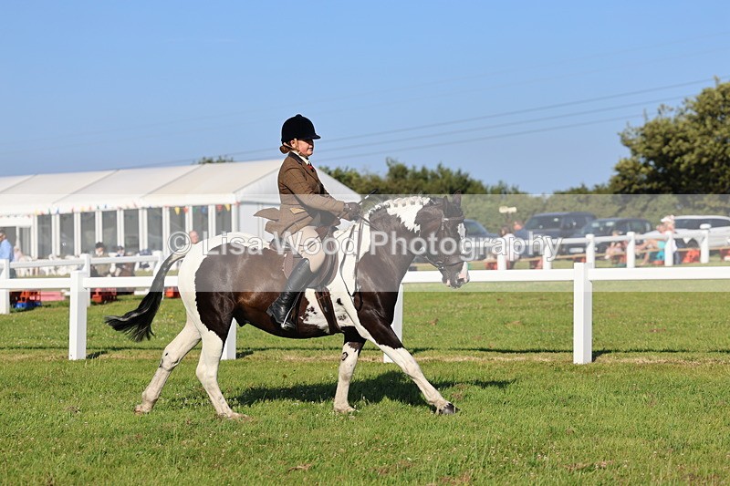IMG_1371 - Class 28: Ridden Plaited Coloured Pony