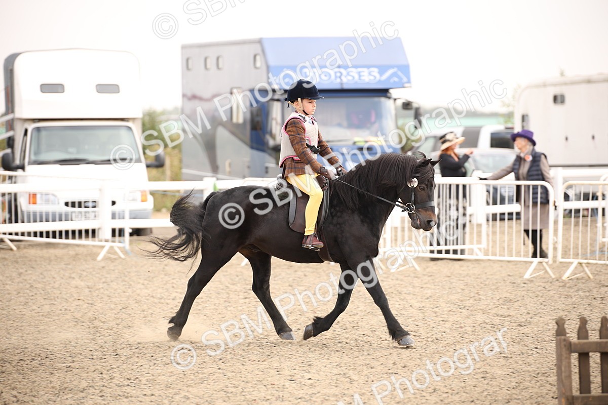 SBM_11718 - Class 404a Junior Working Veteran- 40cm (15-19)