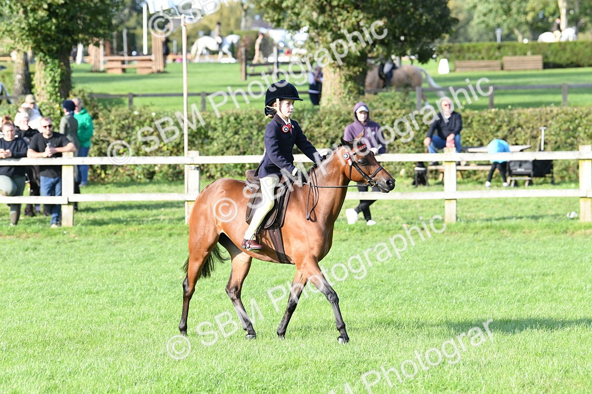 SBM_52402 - S22 - 1st Ridden Show & Show Hunter Pony