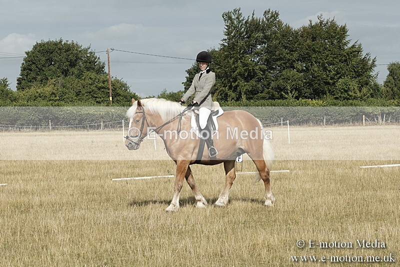 _PJP5571 - Dressage Classes BVRC Show 2018