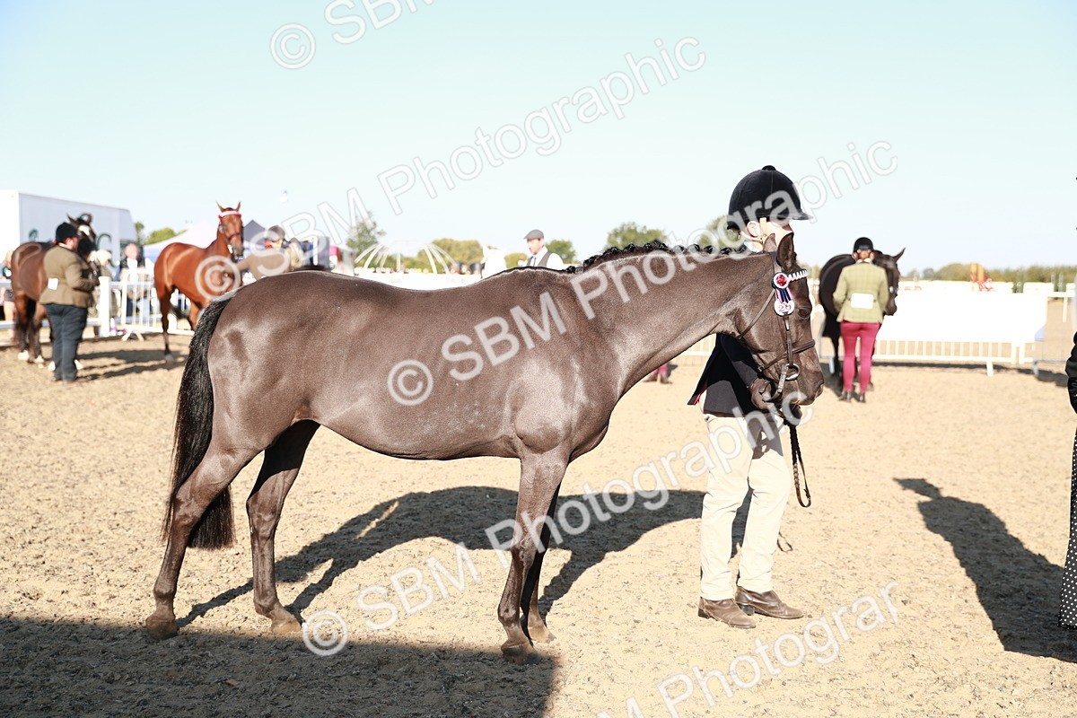 SBM_00084 - Class 40 Best Turned Out IH