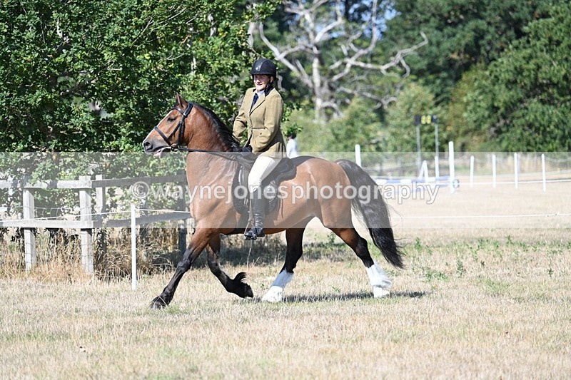 WJ7_3753 - Class 9 Mountain & Moorland Ridden