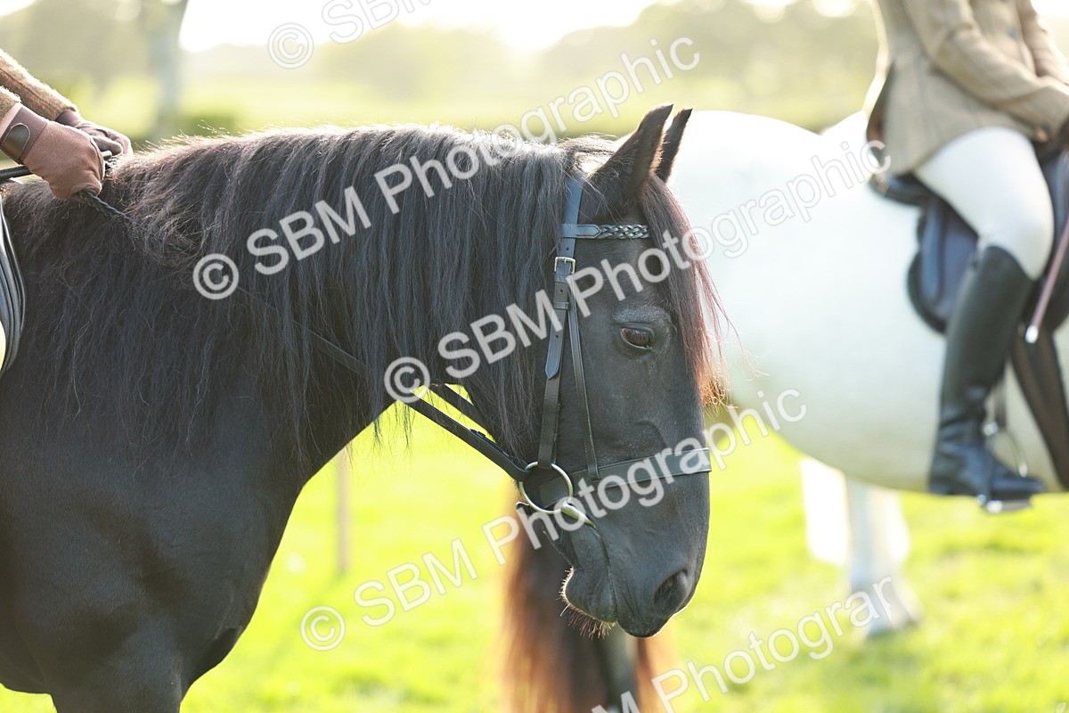 SBM_28802 - S7 - Novice & Newcomer Ridden Pony