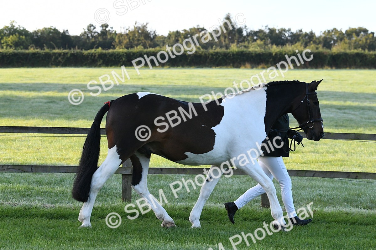 SBM_32580 - S15 - Condition & Turnout In Hand