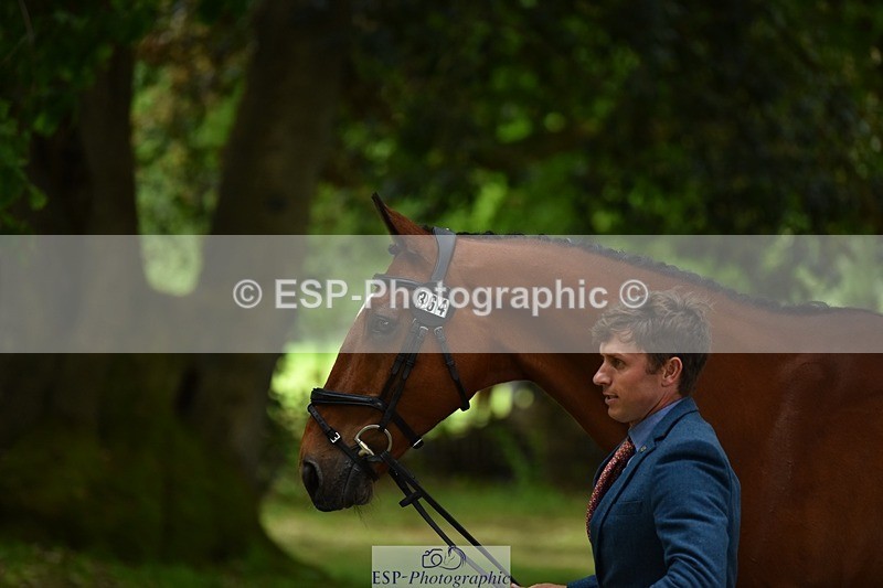 240522-150440-00077 - 364-LACHAIN_JACK-Tom_D_Crisp